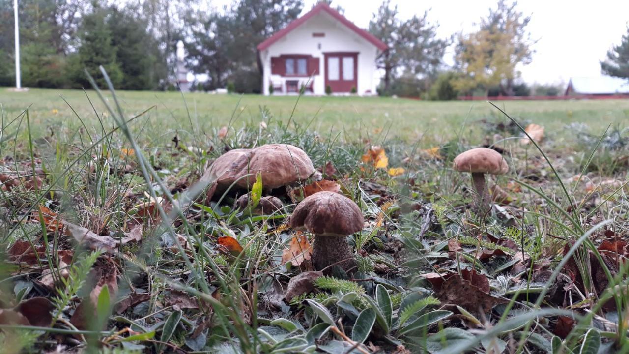 Hubertowka Czapiewice Villa Exterior photo